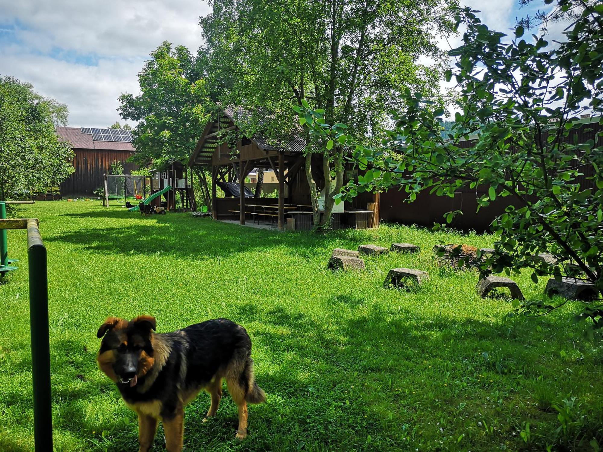 Noclegi Arenda Niedzica Esterno foto